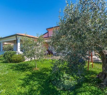 Apartment Liam Novigrad Istria Extérieur photo