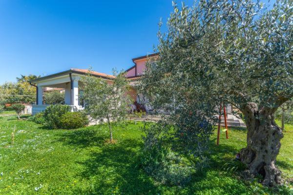 Apartment Liam Novigrad Istria Extérieur photo